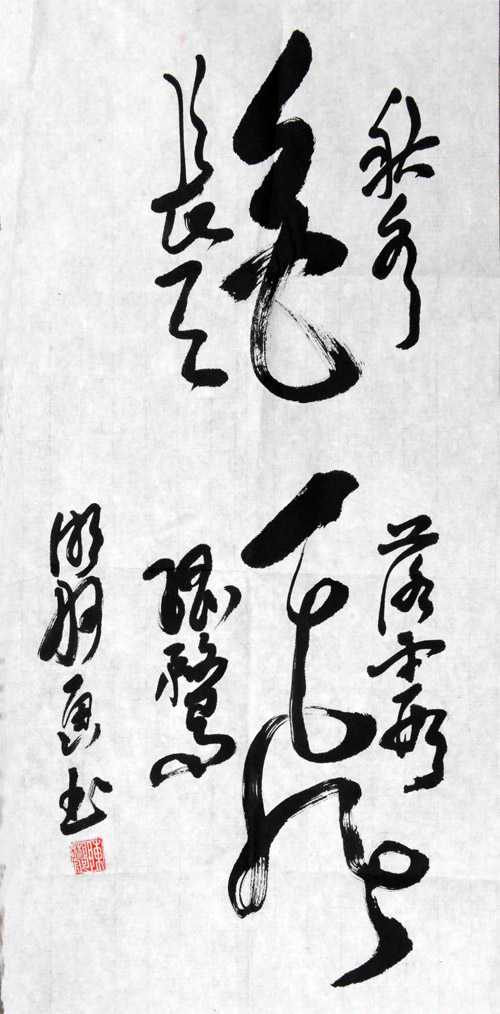 陈湘舸教授的“画书”字作品之一：“秋水共长天一色，落霞与孤鹜齐飞。”